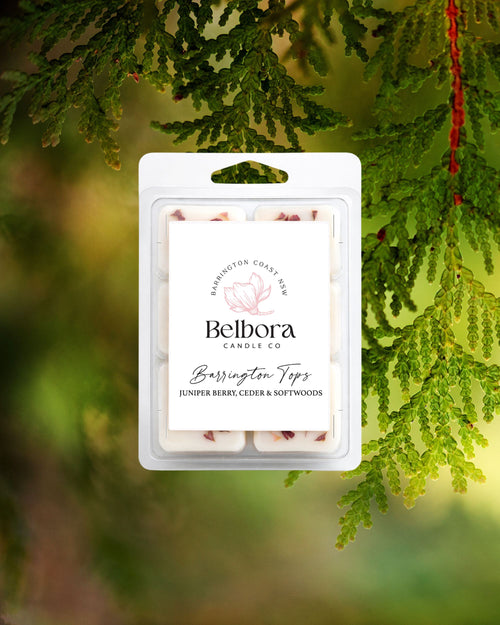 Belbora Candle Co. Barrington Tops wax melt package with a green pine background