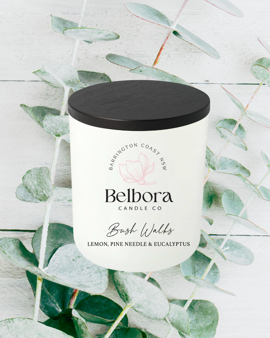 Belbora Candle Co Bush Walks candle with black lid on a white background with green eucalypt leaves