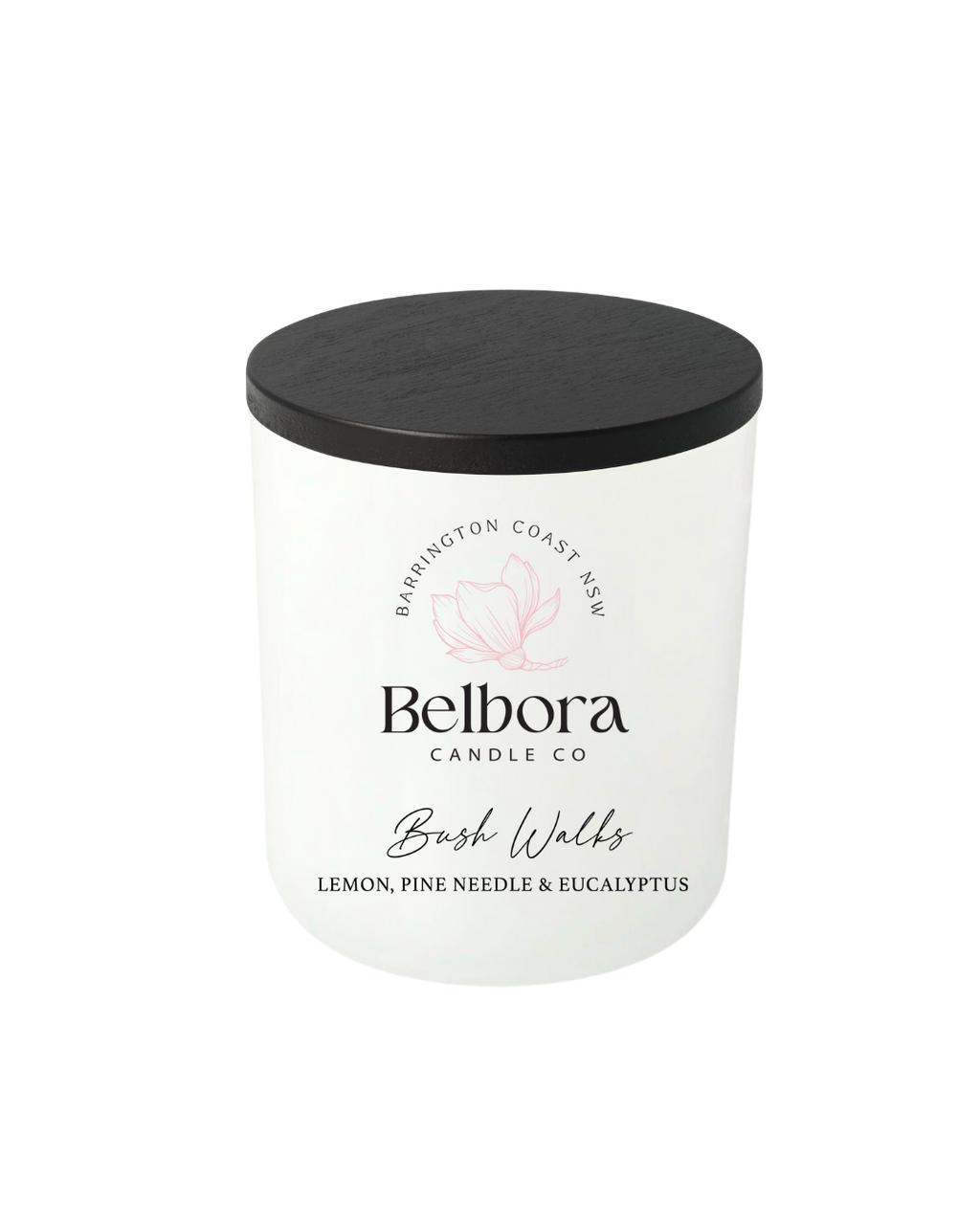 Belbora Candle Co Bush Walks Candle with lemon, pine needle and eucalyptus on transparent background 