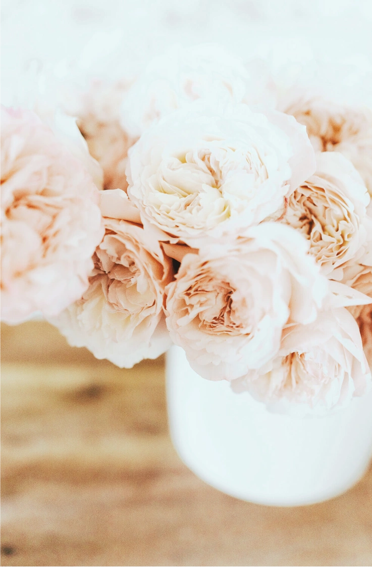 Belbora candle Co luxury hand poured candles made on the barington coast with a range of soft floral fragrances creating an inviting environment at home.