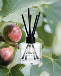 Belbora Candle Co The Old Fig Tree Reed diffuser bottle with black reeds on green leaves and figs
