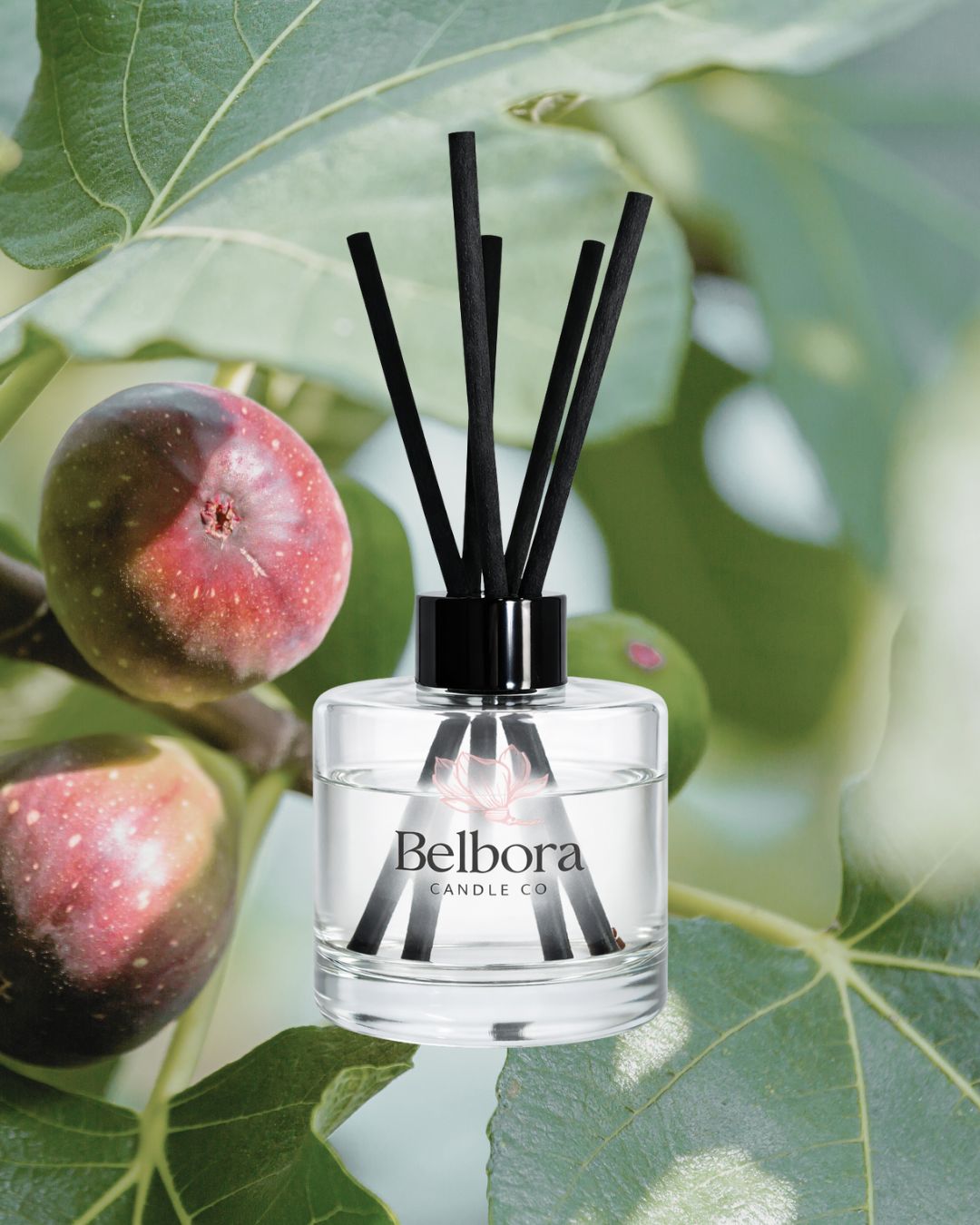 Belbora Candle Co The Old Fig Tree Reed diffuser bottle with black reeds on green leaves and figs