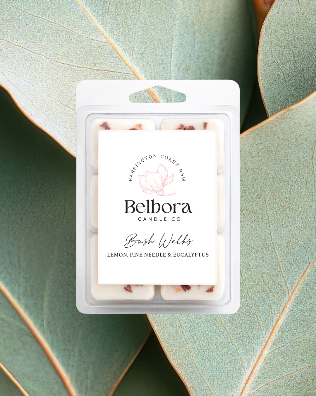 Belbora Candle Co. Bush Walks wax melt packaging on green eucalyptus leaves