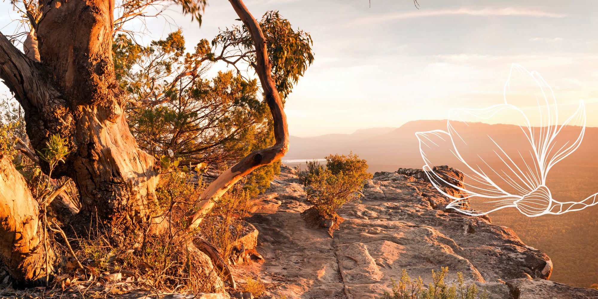 Rocks and trees on a mountain with a glowing effect and Belbora Candle Co Magnolia flower overlay.