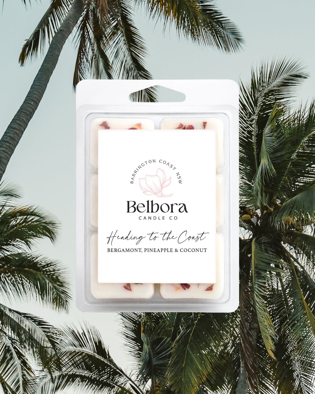 Belbora Candle Co Heading to the Coast wax melt package with palm trees in the background 