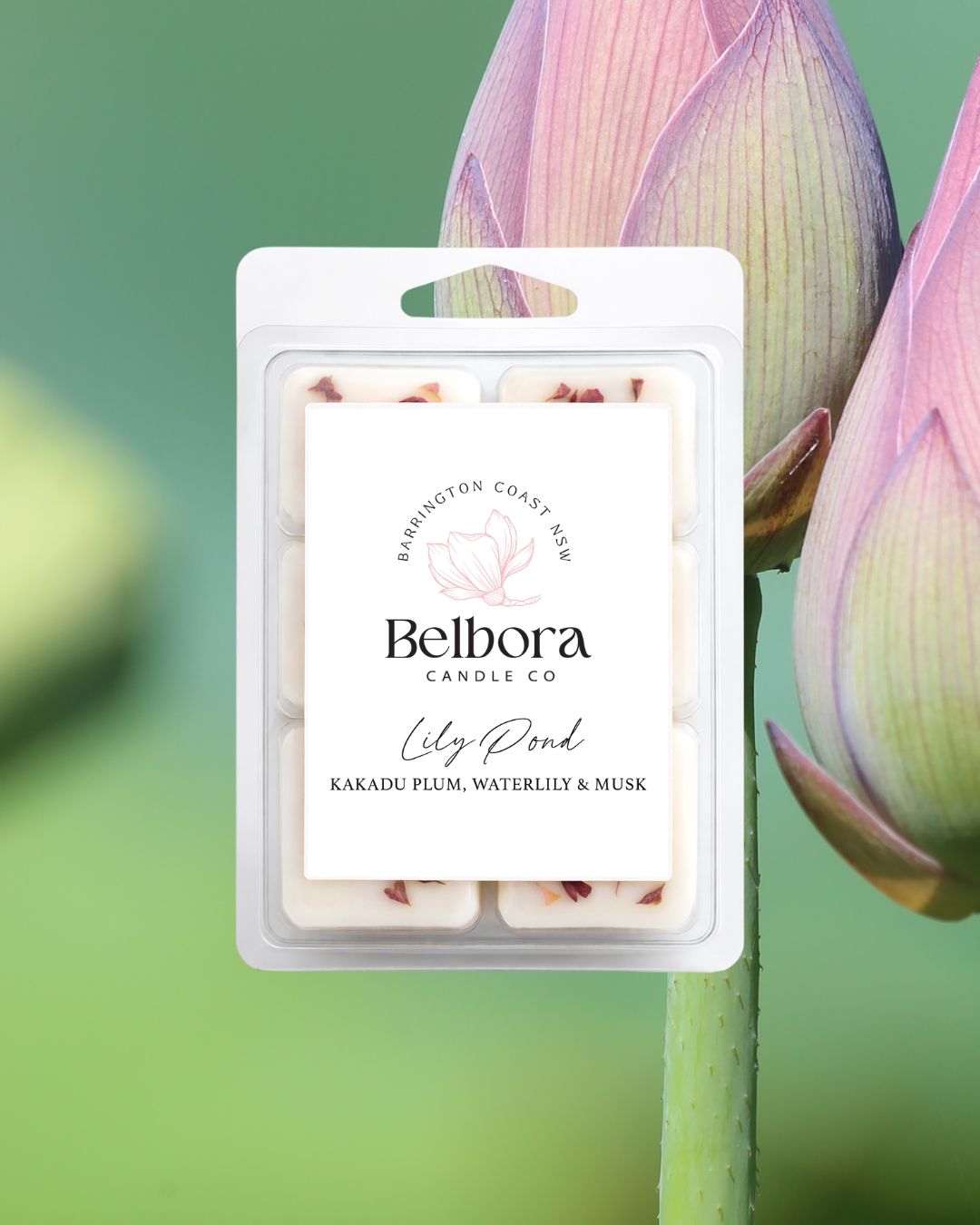 Belbora Candle Co. wax melt Lily Pond package with lotus flowers in the background
