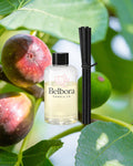 Belbora candle co The Old Fig Tree Reed Diffuser Refill with figs on a green leaf background